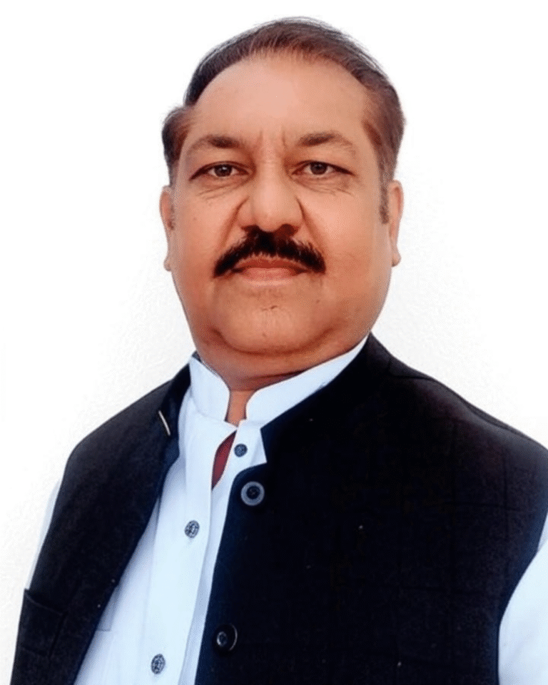 Hearing aid Programmer